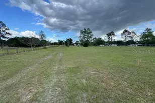 19231 NW Hwy 335, Williston, FL 32696 - Photo 22