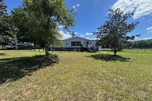 19231 NW Hwy 335, Williston, FL 32696 - Photo 2