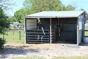 19231 NW Hwy 335, Williston, FL 32696 - Photo 26
