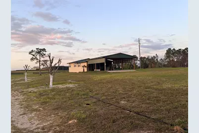 12451 NE 20th Street, Williston, FL 32696 - Photo 14