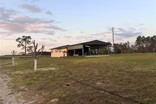 12451 NE 20th St, Williston, FL 32696 - Photo 14