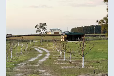 12451 NE 20th Street, Williston, FL 32696 - Photo 10