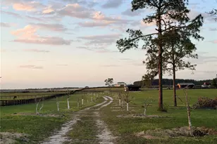 12451 NE 20th St, Williston, FL 32696 - Photo 12