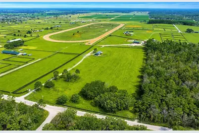 12451 NE 20th Street, Williston, FL 32696 - Photo 1