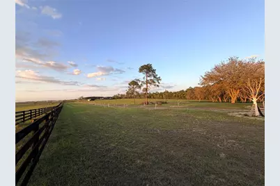 12451 NE 20th Street, Williston, FL 32696 - Photo 8