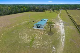 12451 NE 20th St, Williston, FL 32696 - Photo 6