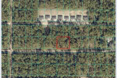 Tbd SW 29th Street, Ocala, FL 34473 - Photo 6