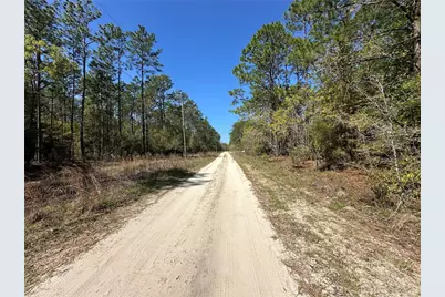 Tbd SW 29th Street, Ocala, FL 34473 - Photo 4