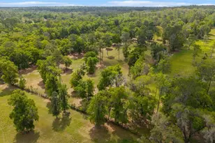 14671 W Hwy 328, Ocala, FL 34482 - Photo 76