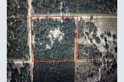 1260 SW Marigold Place, Fort White, FL 32038 - Photo 4