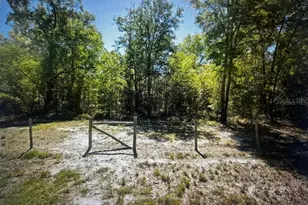 1260 SW Marigold Pl, Fort White, FL 32038 - Photo 1