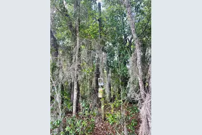11500 SE 92nd Court, Belleview, FL 34420 - Photo 20