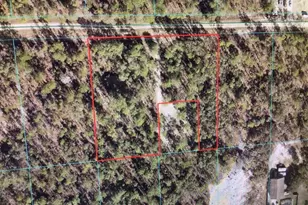 0 SW 87 St, Dunnellon, FL 34432 - Photo 1