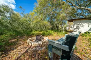 15605 NE 236th St, Fort Mc Coy, FL 32134 - Photo 12