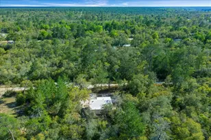 15605 NE 236th St, Fort Mc Coy, FL 32134 - Photo 48