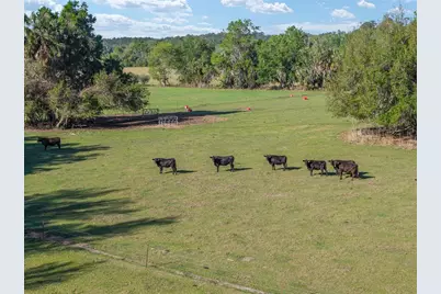 6405 NW 165th Street, Reddick, FL 32686 - Photo 18