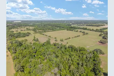 6405 NW 165th Street, Reddick, FL 32686 - Photo 8