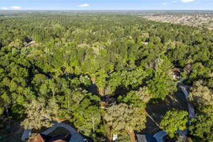 20949 SW 81st Loop, Dunnellon, FL 34431 - Photo 14