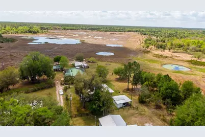 24525 NE 189th Street, Fort Mc Coy, FL 32134 - Photo 60