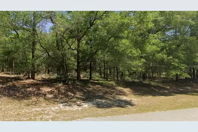 00 SW 102nd Street Road, Dunnellon, FL 34432 - Photo 2