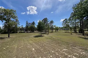 5351 NE 121st Terrace, Williston, FL 32696 - Photo 42