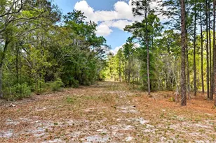 7576 N Heller Ave, Dunnellon, FL 34433 - Photo 22