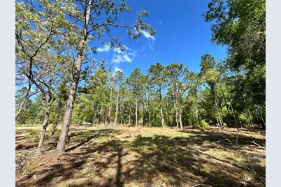 4 SW 157th Avenue #4, Ocala, FL 34481 - Photo 6