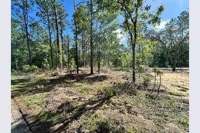 4 SW 157th Avenue #4, Ocala, FL 34481 - Photo 2