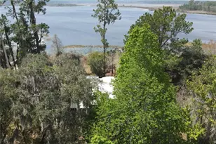 23797 NE 189th St, Fort Mc Coy, FL 32134 - Photo 6