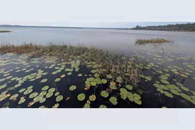 23797 NE 189th Street, Fort Mc Coy, FL 32134 - Photo 96