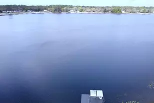 22380 NE 112th Terrace, Fort Mc Coy, FL 32134 - Photo 38