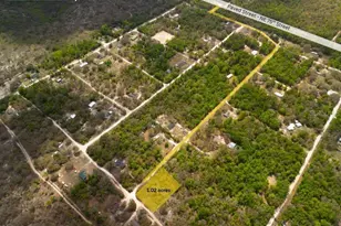 00 NE 131st Terrace, Bronson, FL 32621 - Photo 1