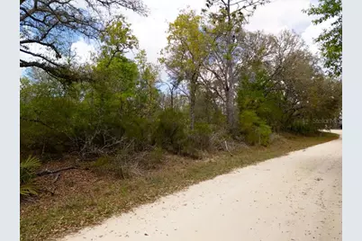 00 NE 131st Terrace, Bronson, FL 32621 - Photo 14