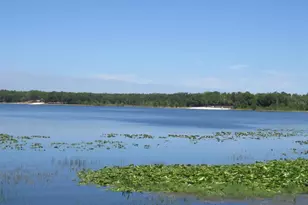 18167 SE 19th St, Silver Springs, FL 34488 - Photo 60