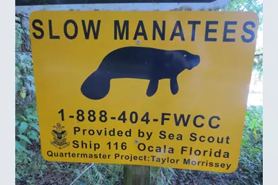 18167 SE 19th Street, Silver Springs, FL 34488 - Photo 40