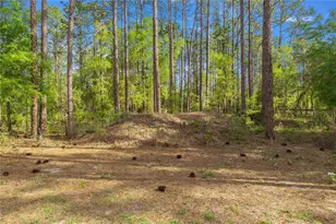 13131 SW 73rd St, Ocala, FL 34481 - Photo 22