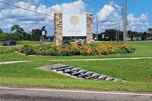 317 Azincourt Ln, Kissimmee, FL 34759 - Photo 54