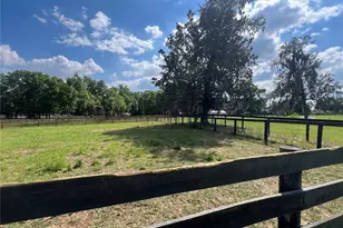 1575 NE 100th St, Anthony, FL 32617 - Photo 32