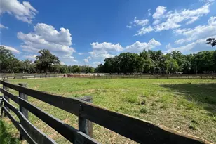1575 NE 100th St, Anthony, FL 32617 - Photo 24