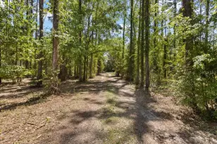 700 SW 105th St, Trenton, FL 32693 - Photo 36