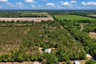 700 SW 105th St, Trenton, FL 32693 - Photo 48