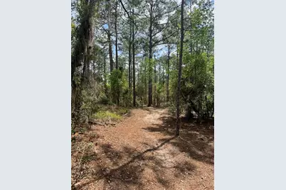 10th Street SE, Williston, FL 32696 - Photo 1