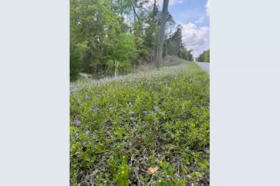 10th Street SE, Williston, FL 32696 - Photo 20