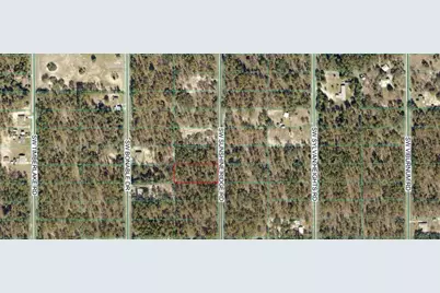 00 SW Sunshine Ridge, Dunnellon, FL 34431 - Photo 1