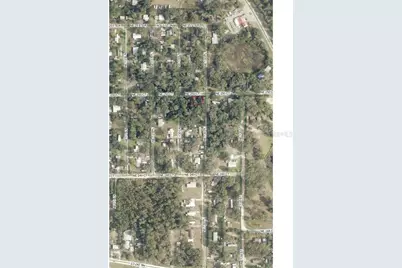 Tbd NE 130 Place, Salt Springs, FL 32134 - Photo 4