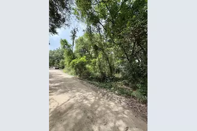 Tbd NE 130 Place, Salt Springs, FL 32134 - Photo 1