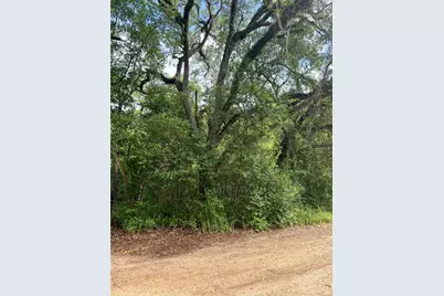 Tbd NE 130 Place, Salt Springs, FL 32134 - Photo 2