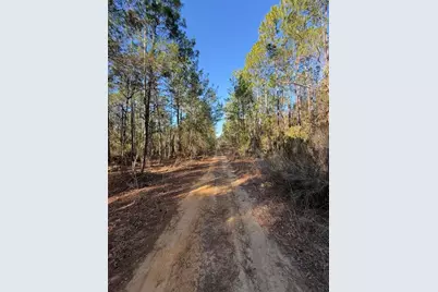 Tbt 5th Way, Interlachen, FL 32148 - Photo 4