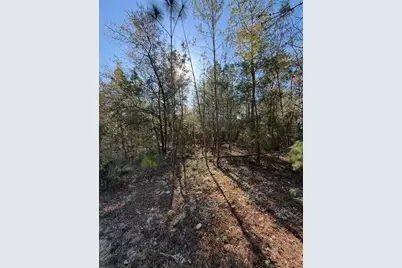 Tbt 5th Way, Interlachen, FL 32148 - Photo 10