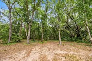 12882 SE 78th Terrace, Summerfield, FL 34491 - Photo 6